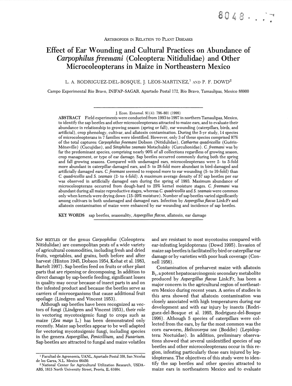 Coleoptera: Nitidulidae) and Other Microcoleopterans in Maize in Northeastern Mexico