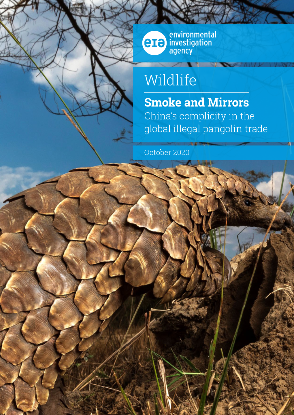 Wildlife Smoke and Mirrors China’S Complicity in the Global Illegal Pangolin Trade