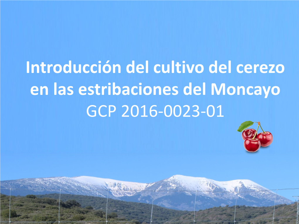 Introducción Del Cultivo Del Cerezo En Las Estribaciones Del Moncayo GCP 2016-0023-01 EL CEREZO EN ARAGÓN