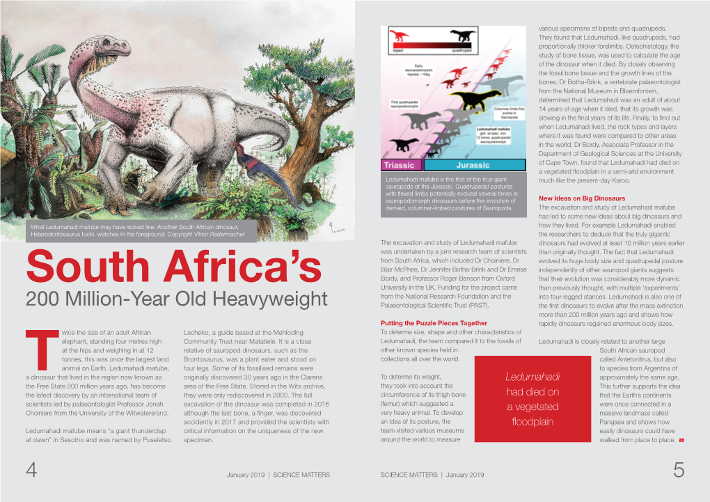 South Africa's 200 Million-Year Old Heavyweight