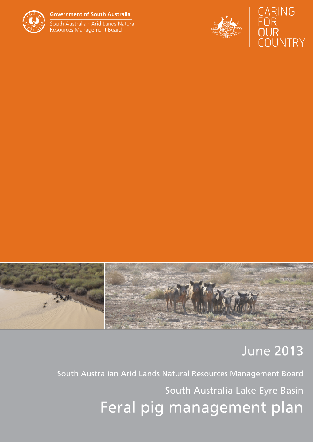 Feral Pig Management Plan South Australia Lake Eyre Basin Feral Pig Management Plan