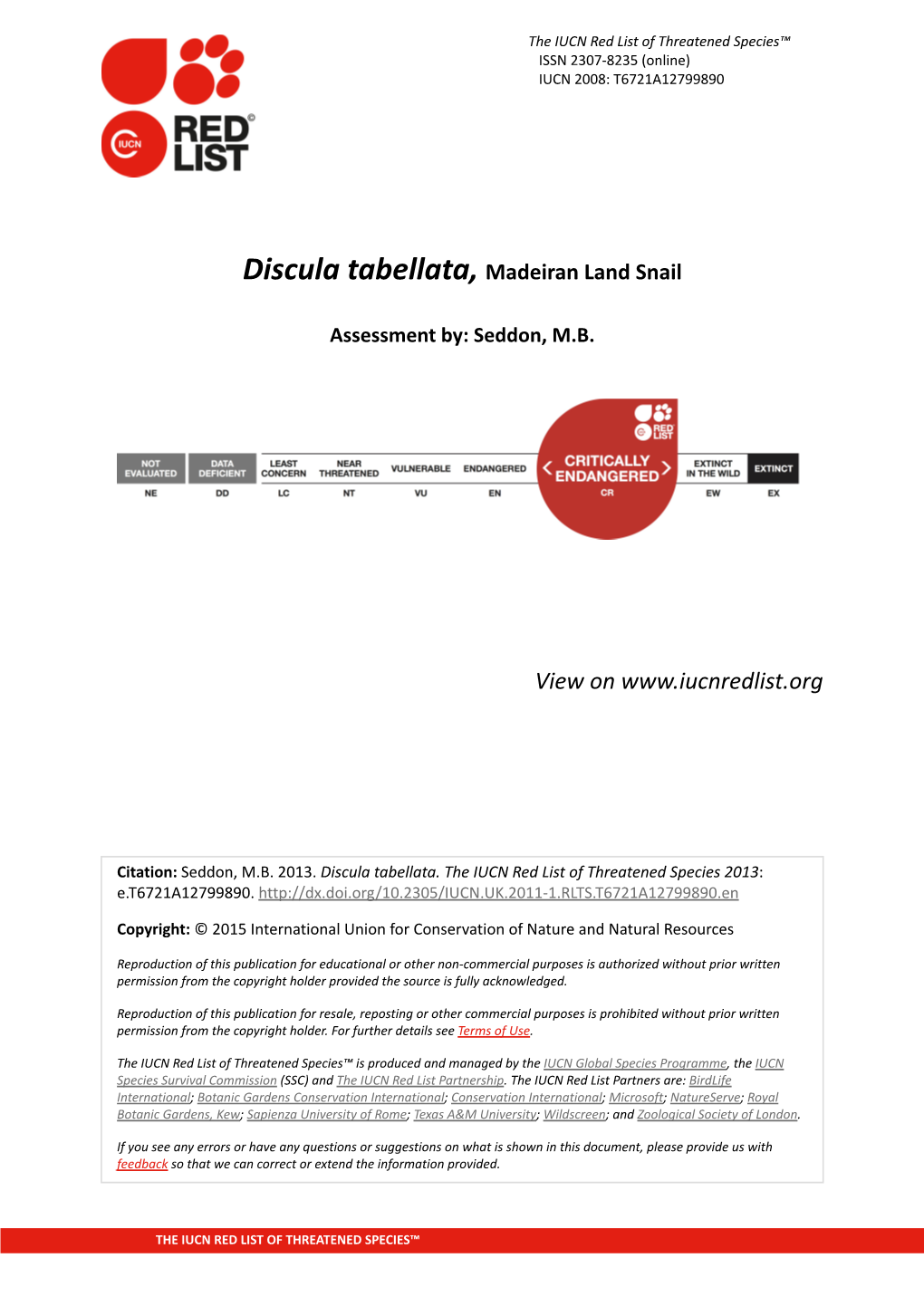 Discula Tabellata, Madeiran Land Snail