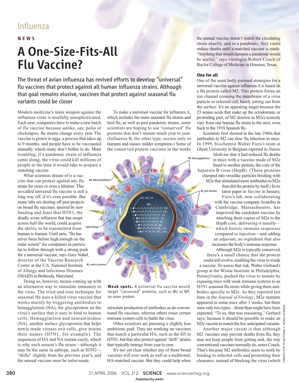 A One-Size-Fits-All Flu Vaccine?