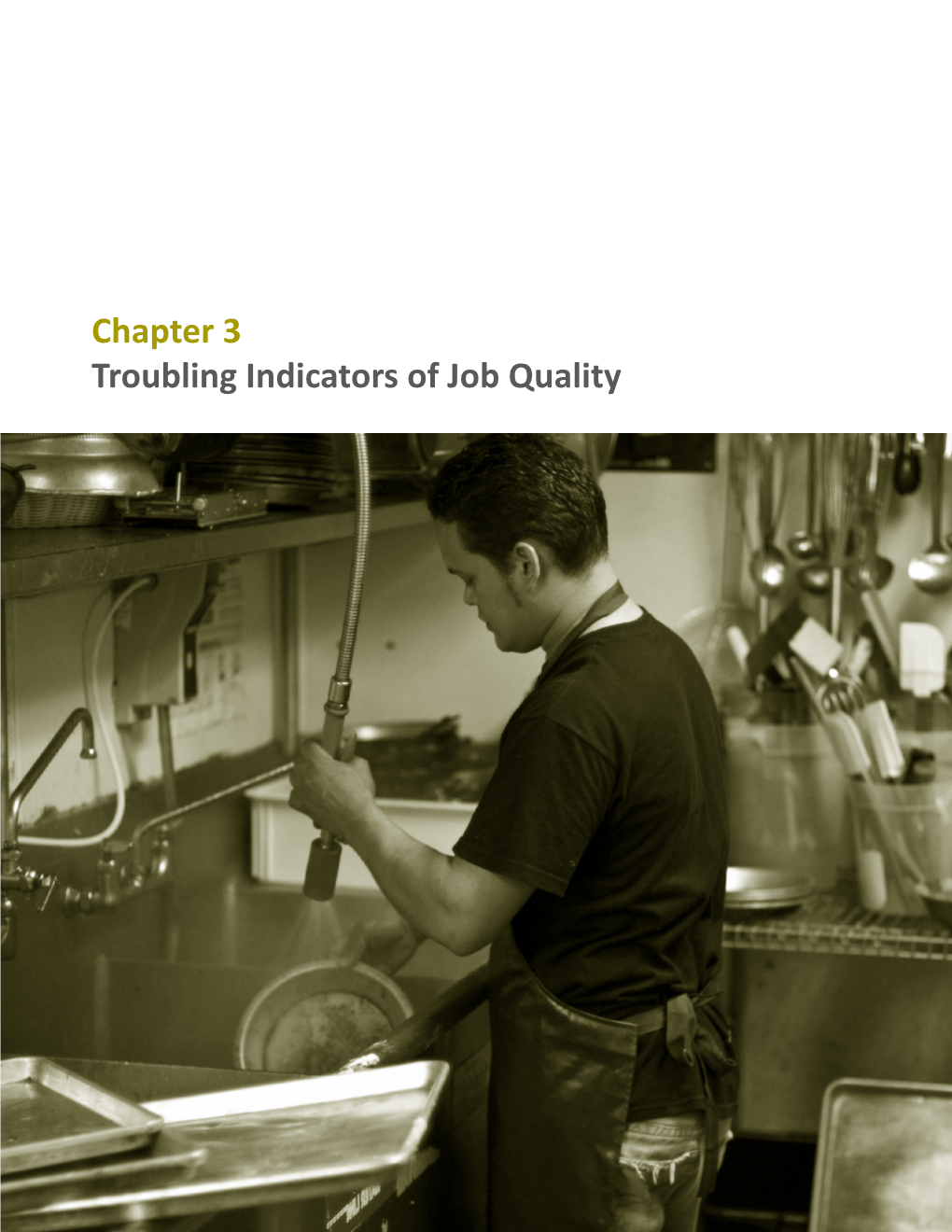 Chapter 3 Troubling Indicators of Job Quality