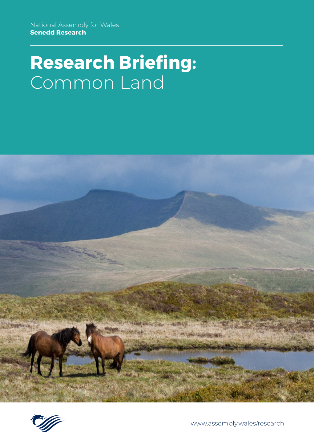 Research Briefing: Common Land