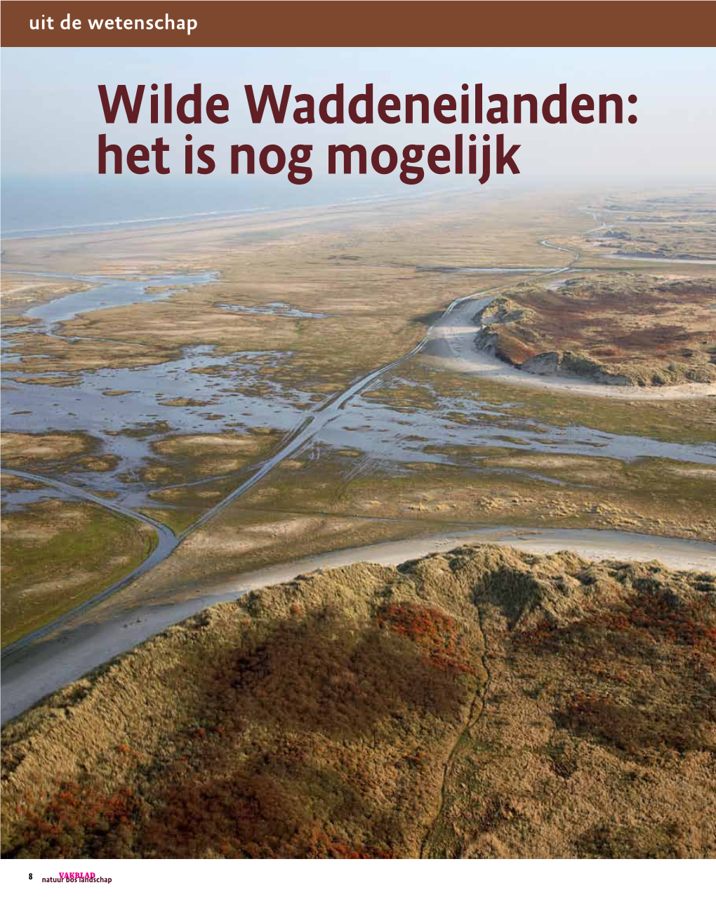 Wilde Waddeneilanden: Het Is Nog Mogelijk