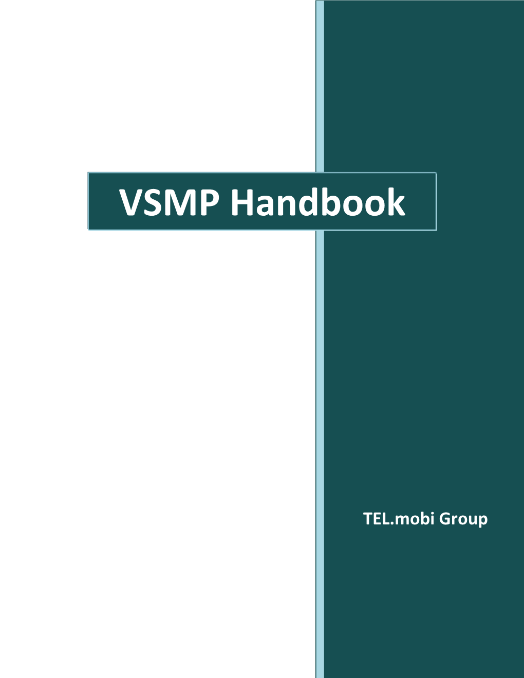 VSMP Handbook