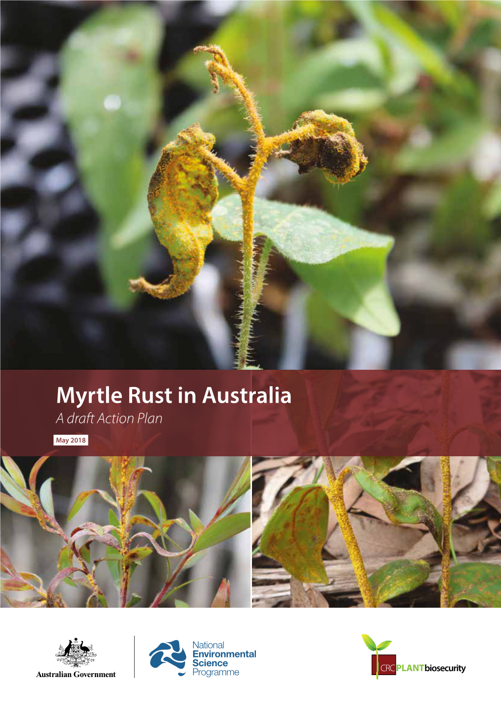 Myrtle Rust in Australia a Draft Action Plan