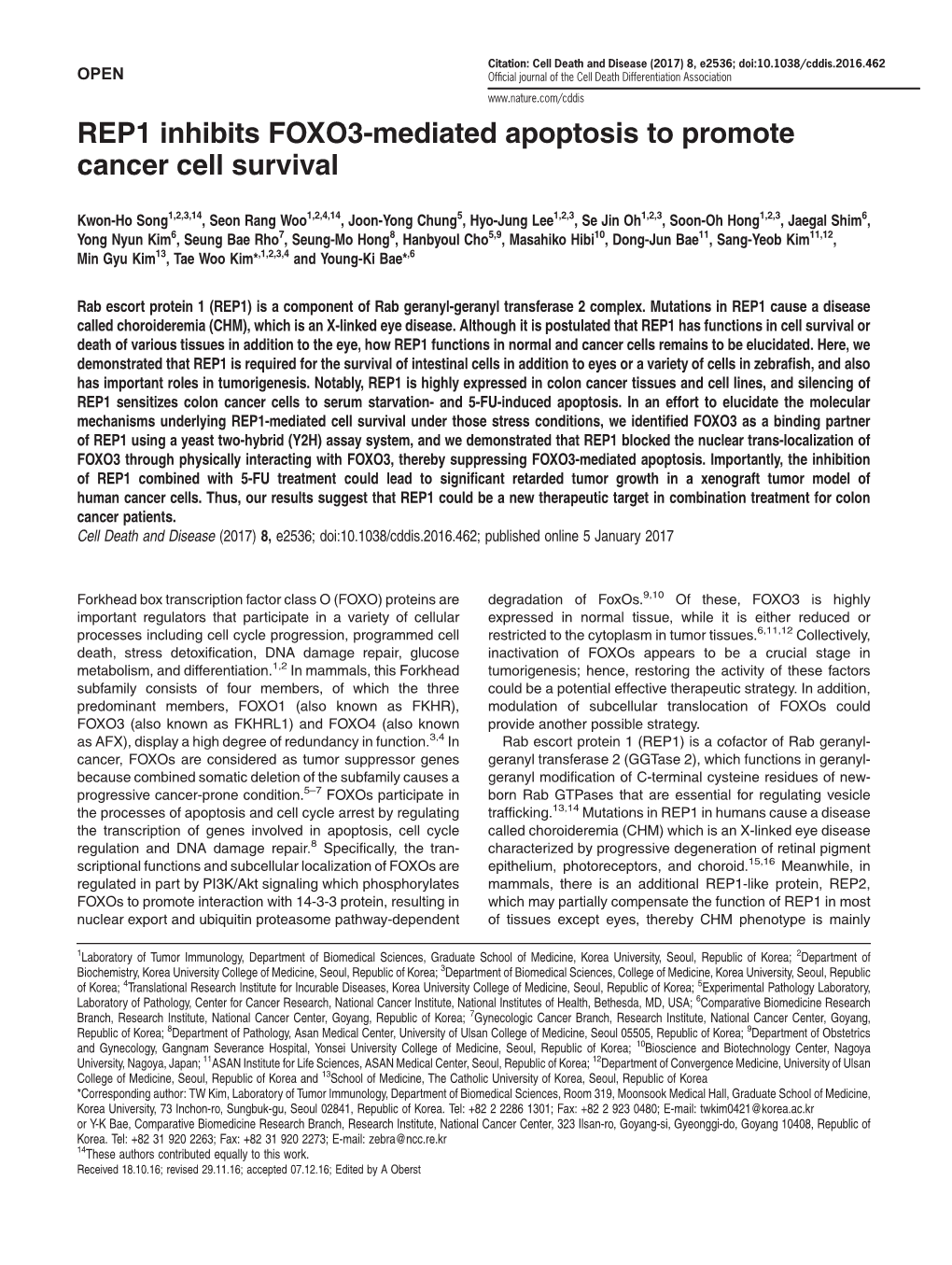 REP1 Inhibits FOXO3-Mediated Apoptosis to Promote Cancer Cell Survival
