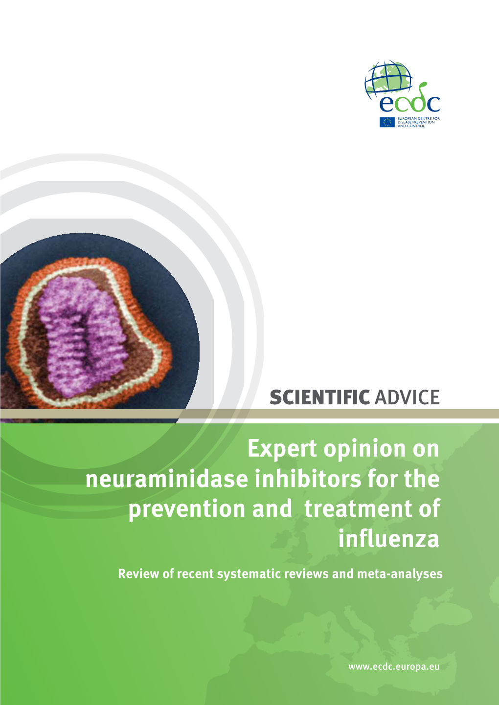 Expert Opinion on Neuraminidase Inhibitors for the Prevention and Treatment of Influenza