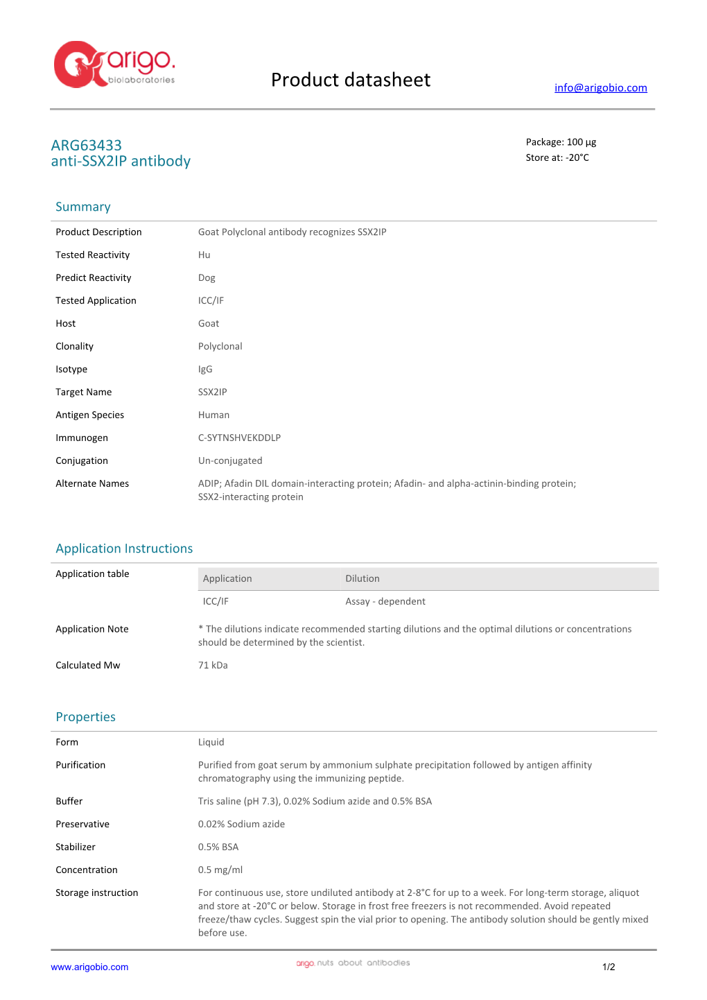 Anti-SSX2IP Antibody (ARG63433)