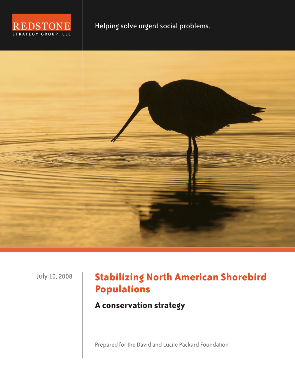 Stabilizing North American Shorebird Populations a Conservation Strategy