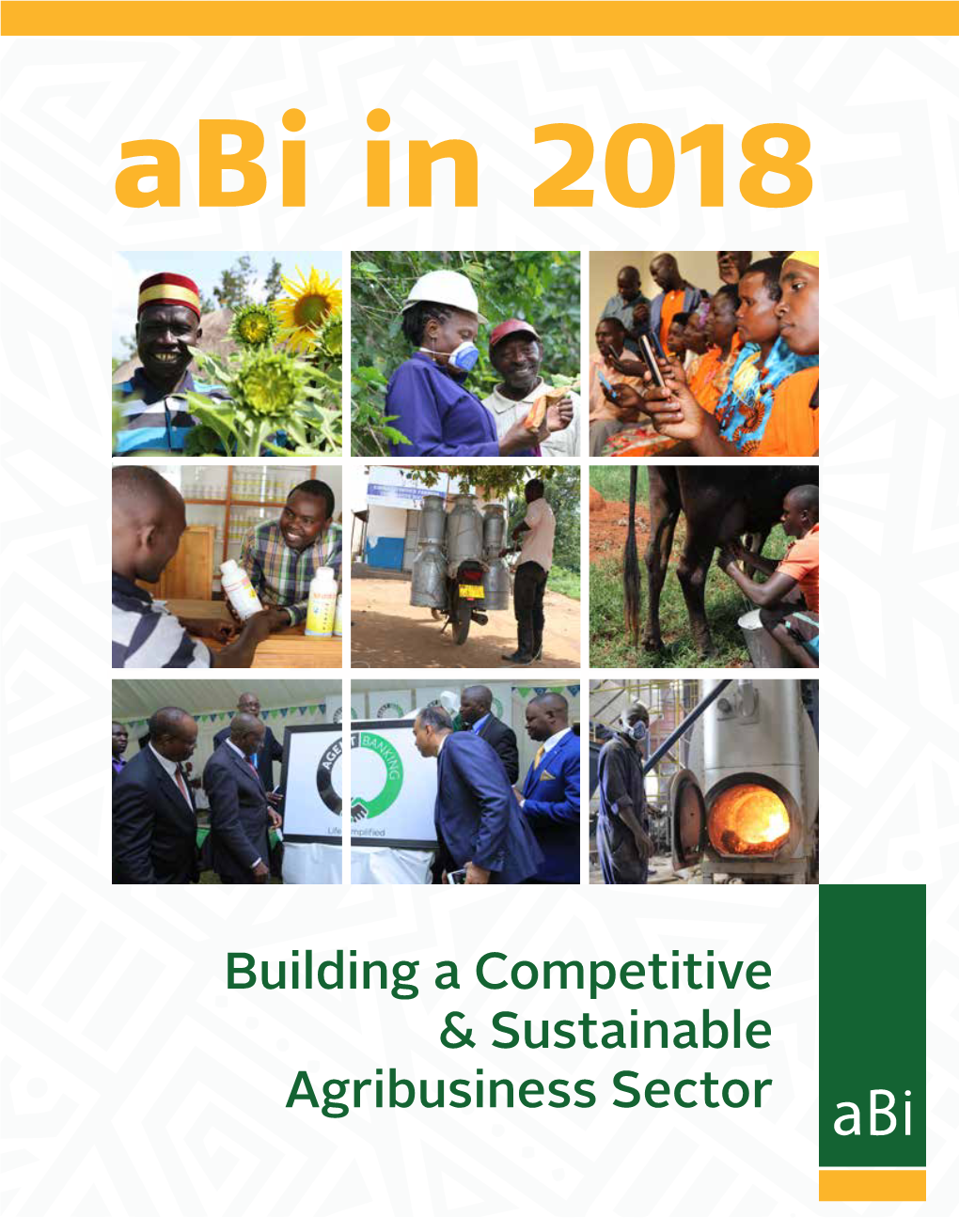 Abi Annual Report 2018