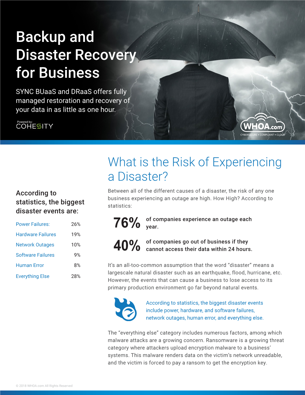 Backup and Disaster Recovery for Business