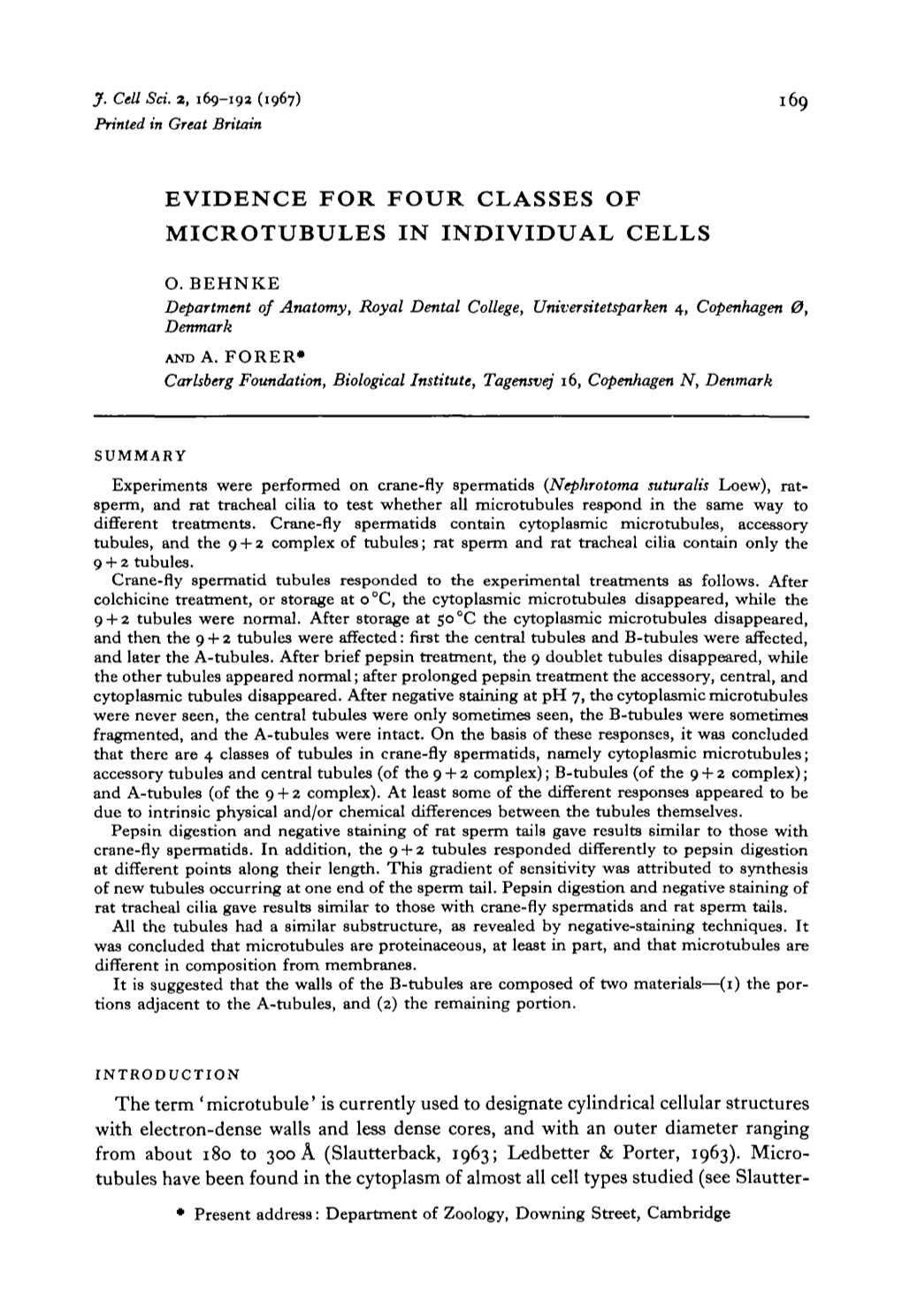 Evidence for Four Classes of Microtubules in Individual Cells