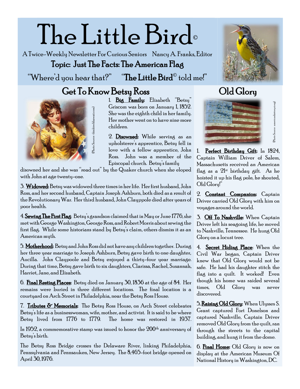 The Little Bird© a Twice-Weekly Newsletter for Curious Seniors Nancy A