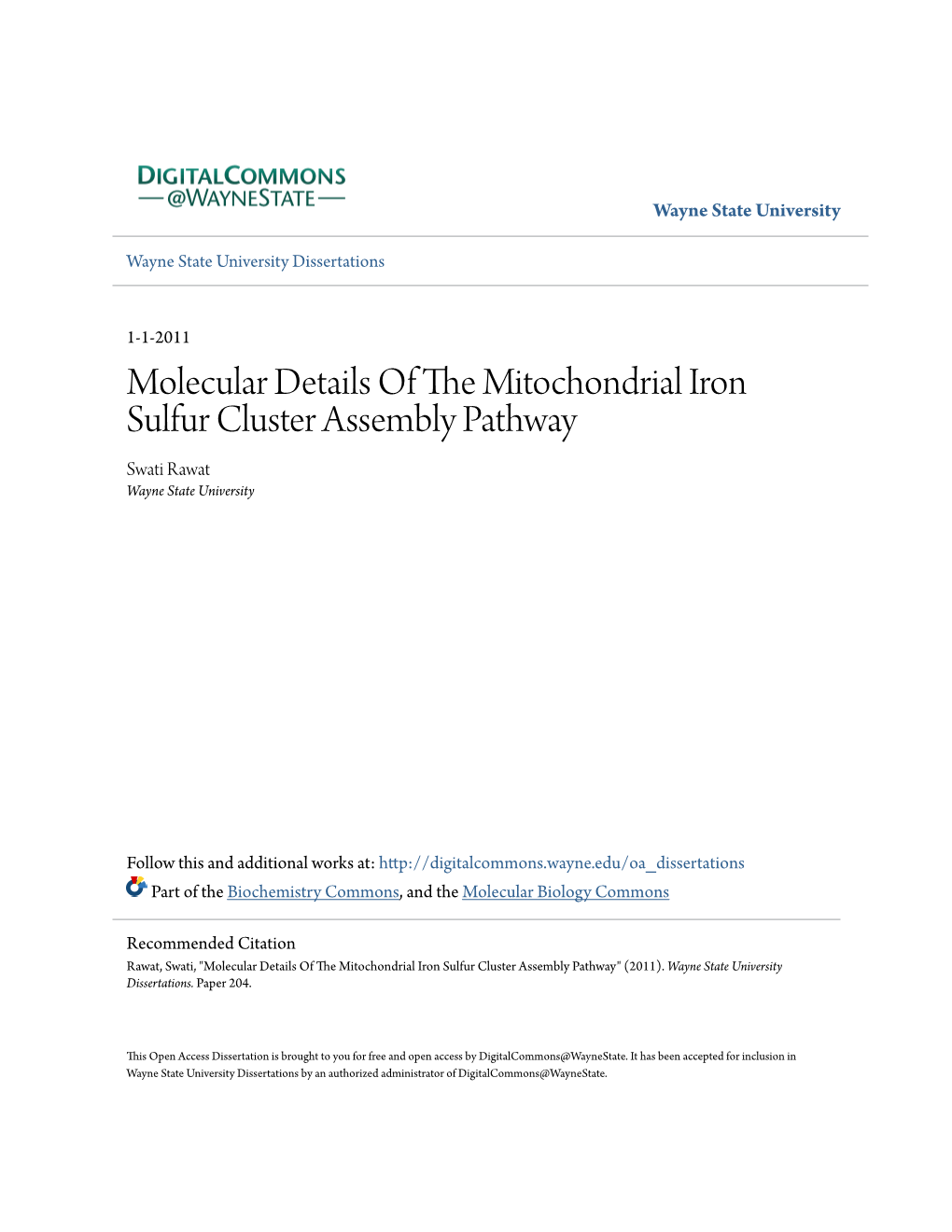 Molecular Details of the Mitochondrial Iron Sulfur Cluster Assembly Pathway