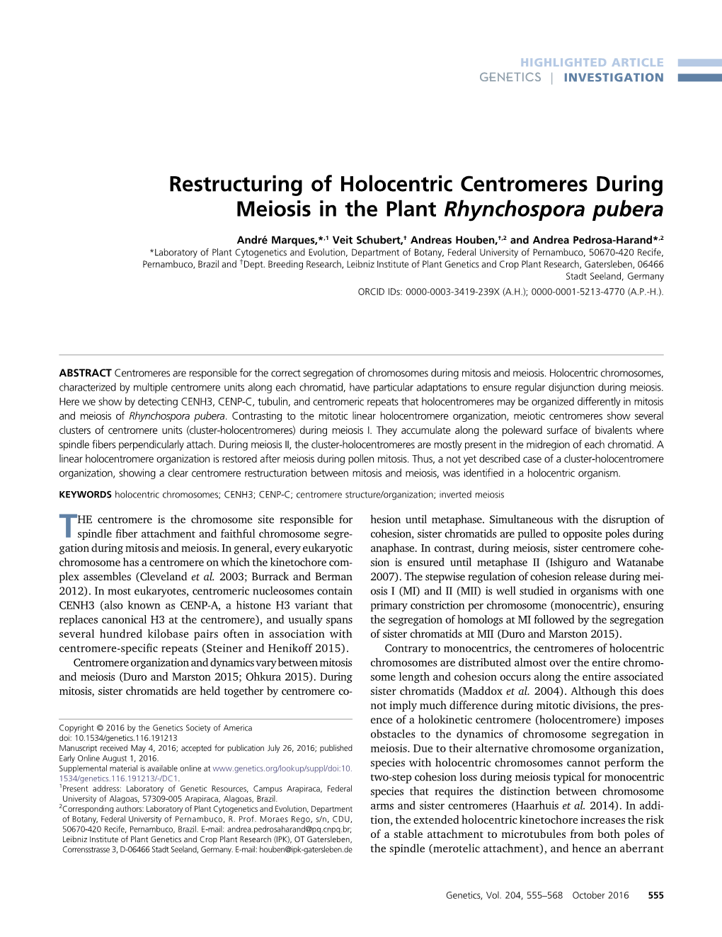 Restructuring of Holocentric Centromeres During Meiosis in the Plant Rhynchospora Pubera