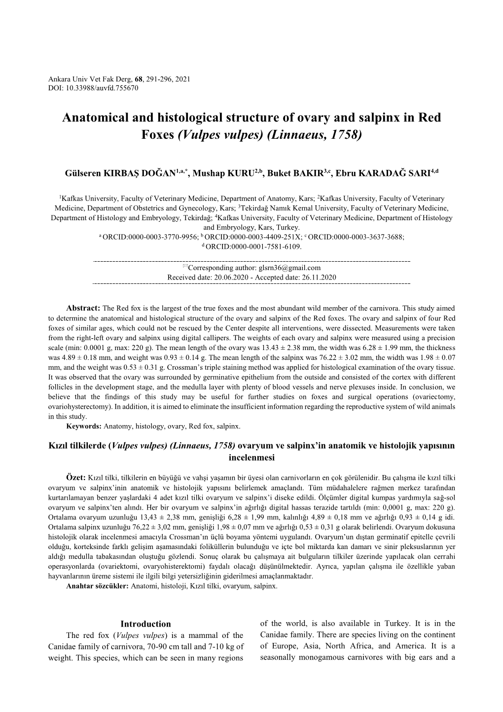 Anatomical and Histological Structure of Ovary and Salpinx in Red Foxes (Vulpes Vulpes) (Linnaeus, 1758)