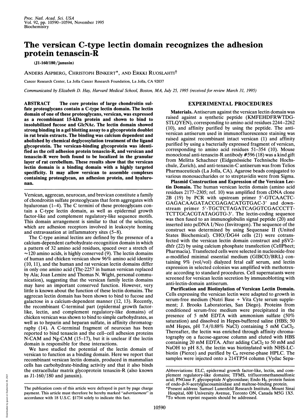 The Versican C-Type Lectin Domain Recognizes the Adhesion Protein Tenascin-R