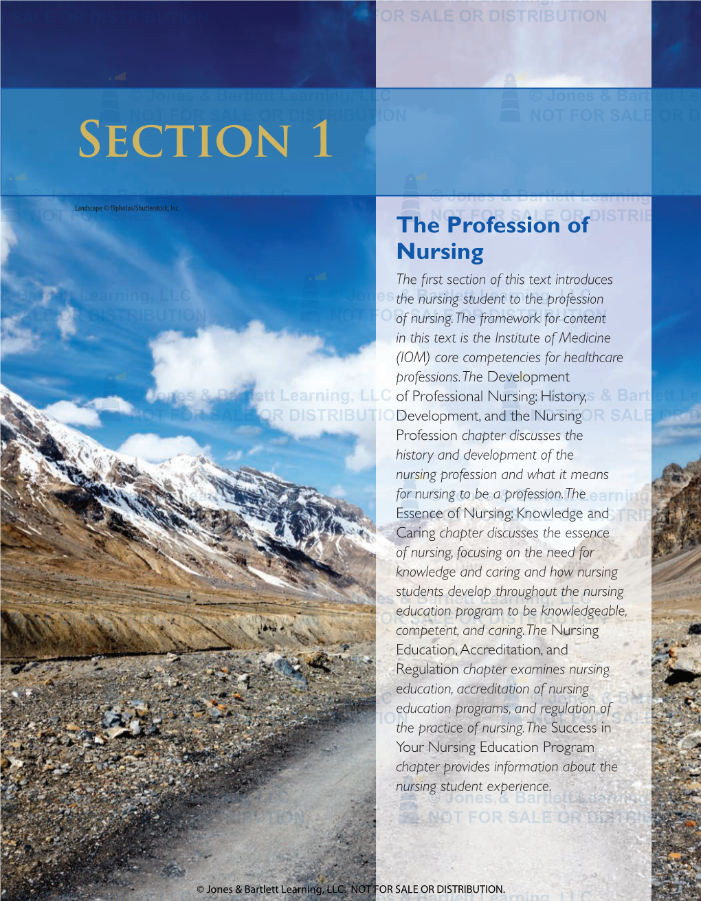 Section 1 the Profession of Nursing