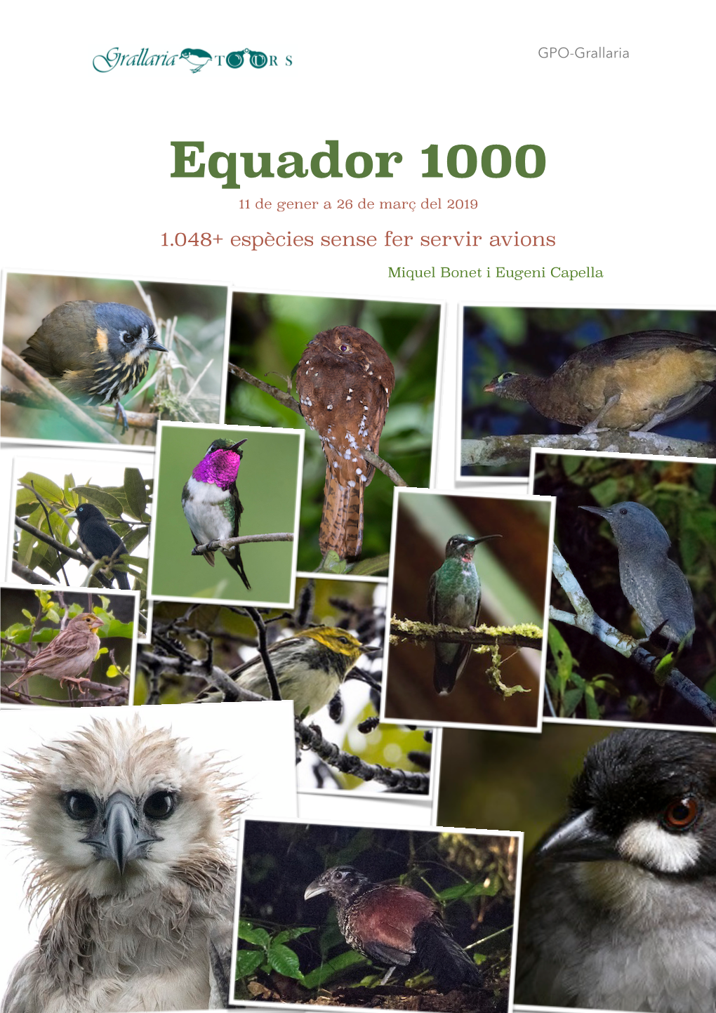 Equador 1000 11 De Gener a 26 De Març Del 2019