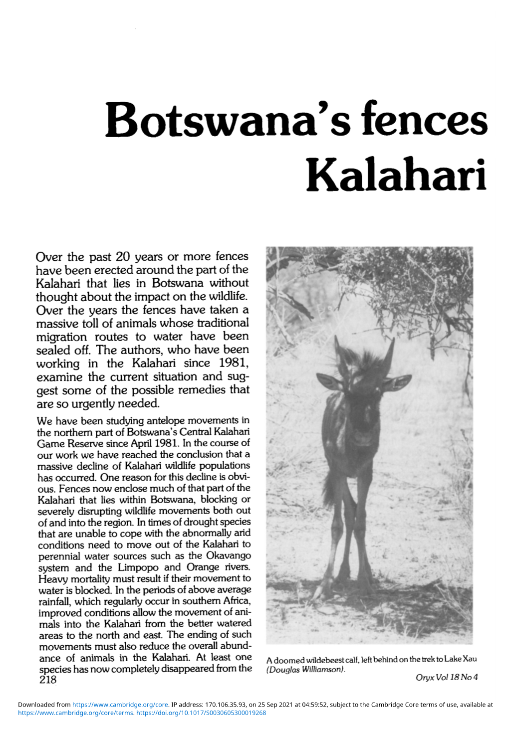 Botswana's Fences and the Depletion of Kalahari Wildlife