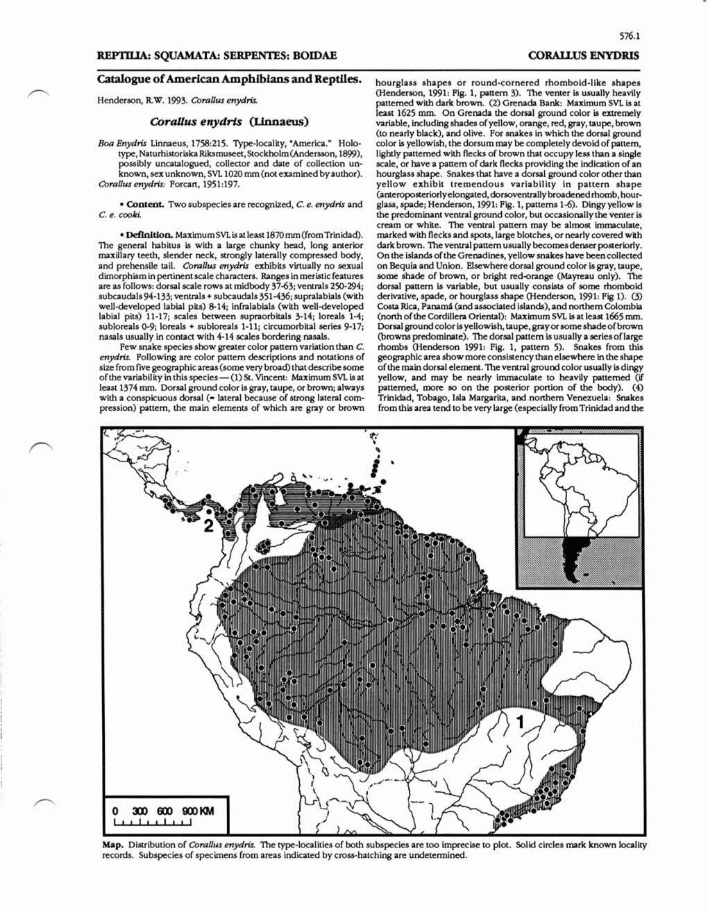 Catalogue of American Amphibians and Reptiles. Coralzus Enydris