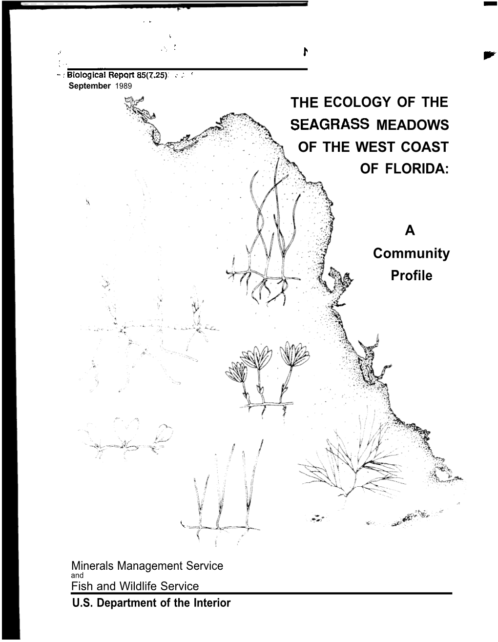 The Ecology of the Seagrass Meadows of the West Coast of Florida