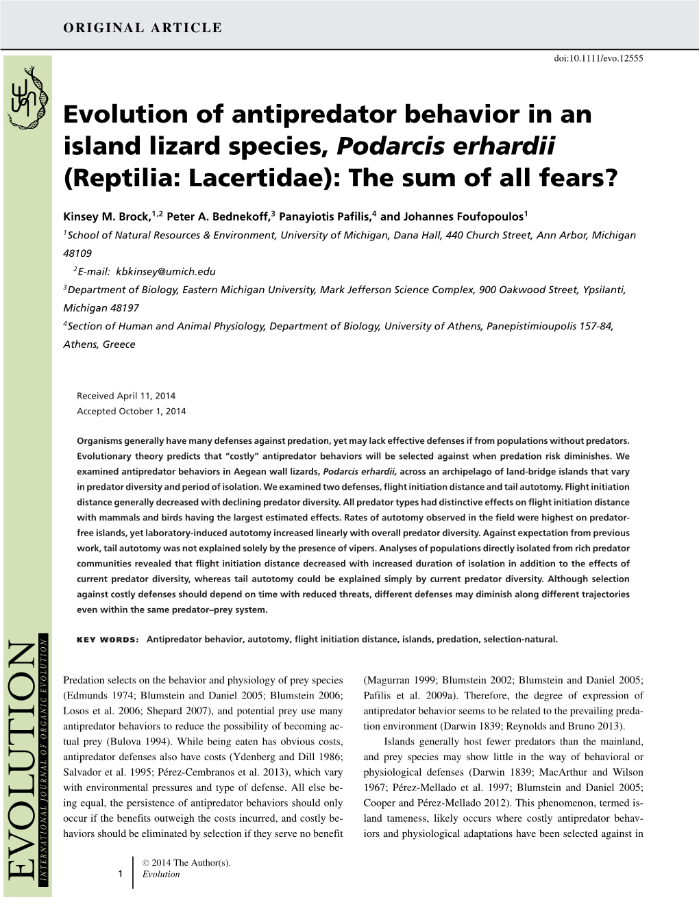 Evolution of Antipredator Behavior in an Island Lizard Species, <I