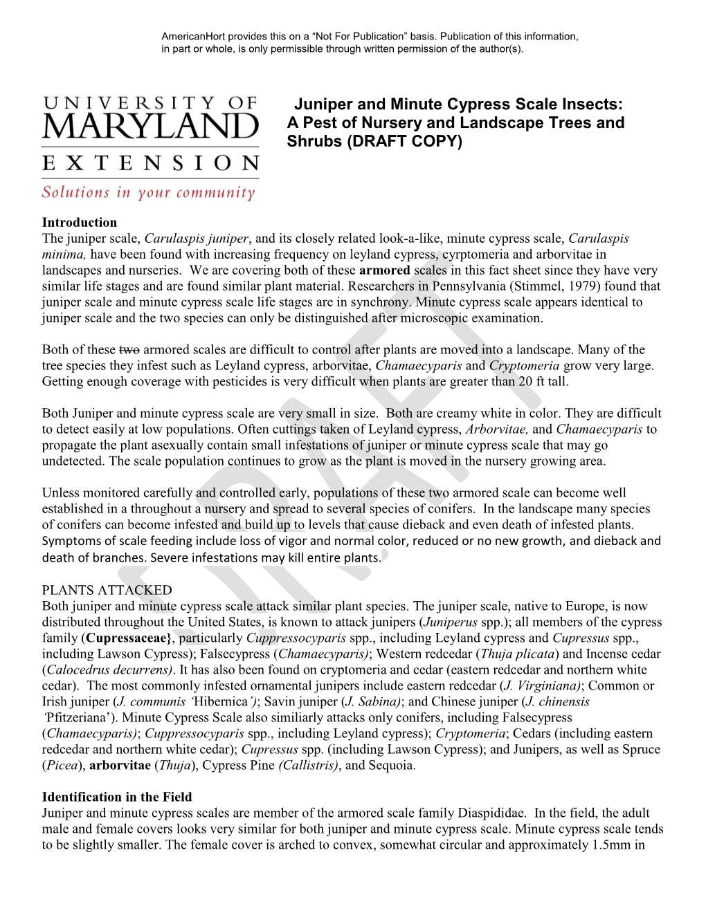 Juniper and Minute Cypress Scale Insects: a Pest of Nursery and Landscape Trees and Shrubs (DRAFT COPY)