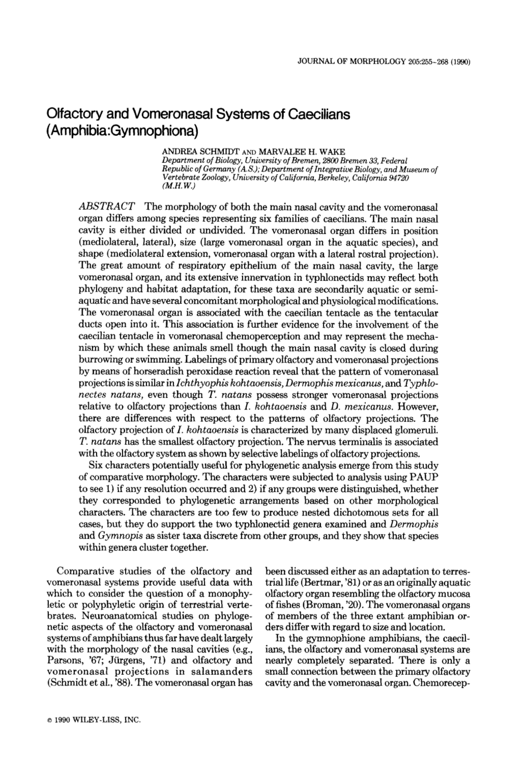 Olfactory and Vomeronasal Systems of Caecilians (Amphibia: Gymnophiona)