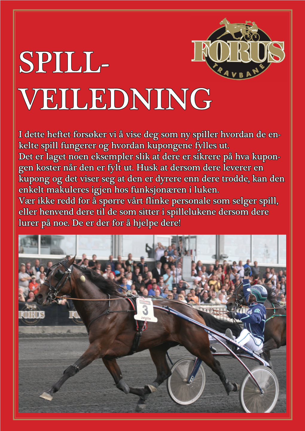 Spill- Veiledning