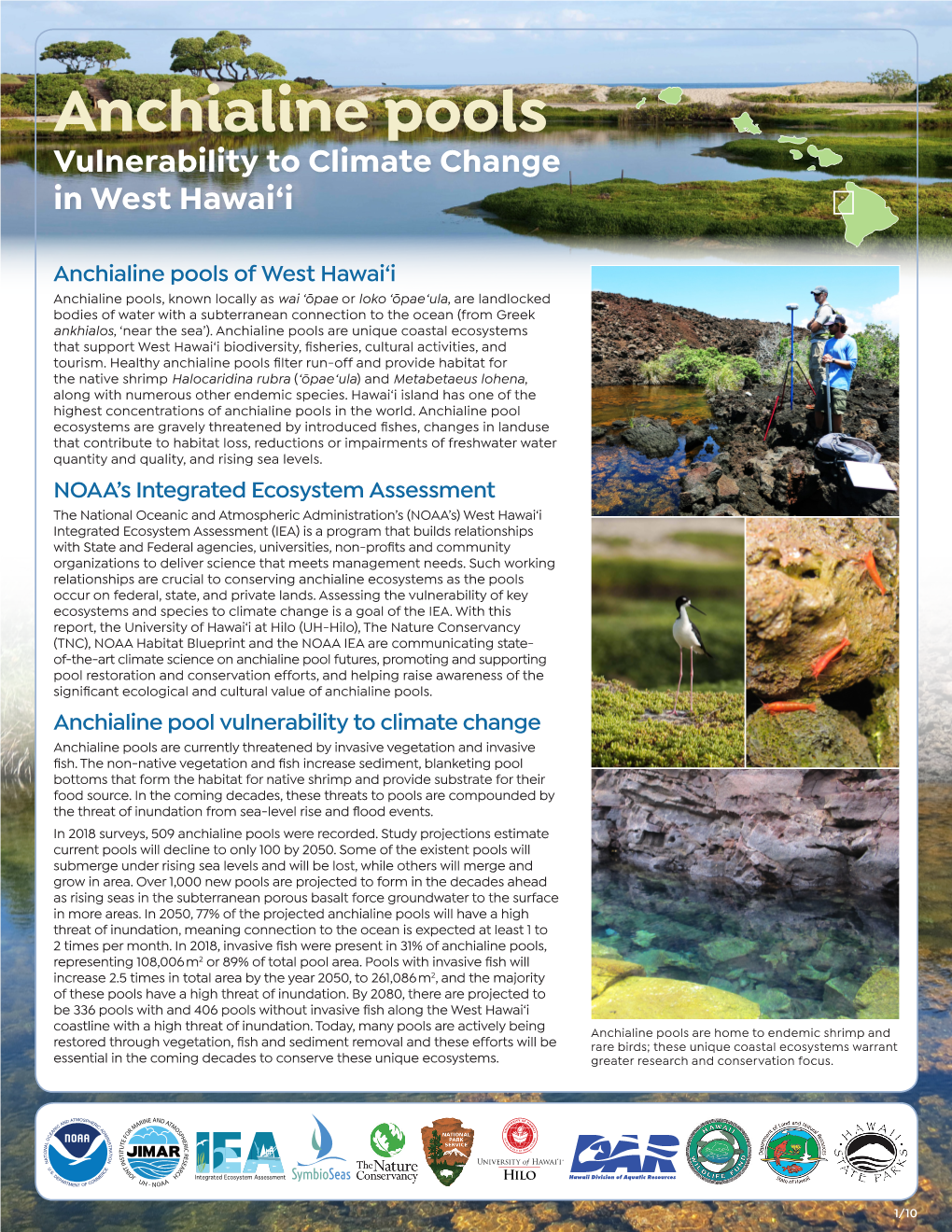 Anchialine Pools Vulnerability to Climate Change in West Hawai‘I