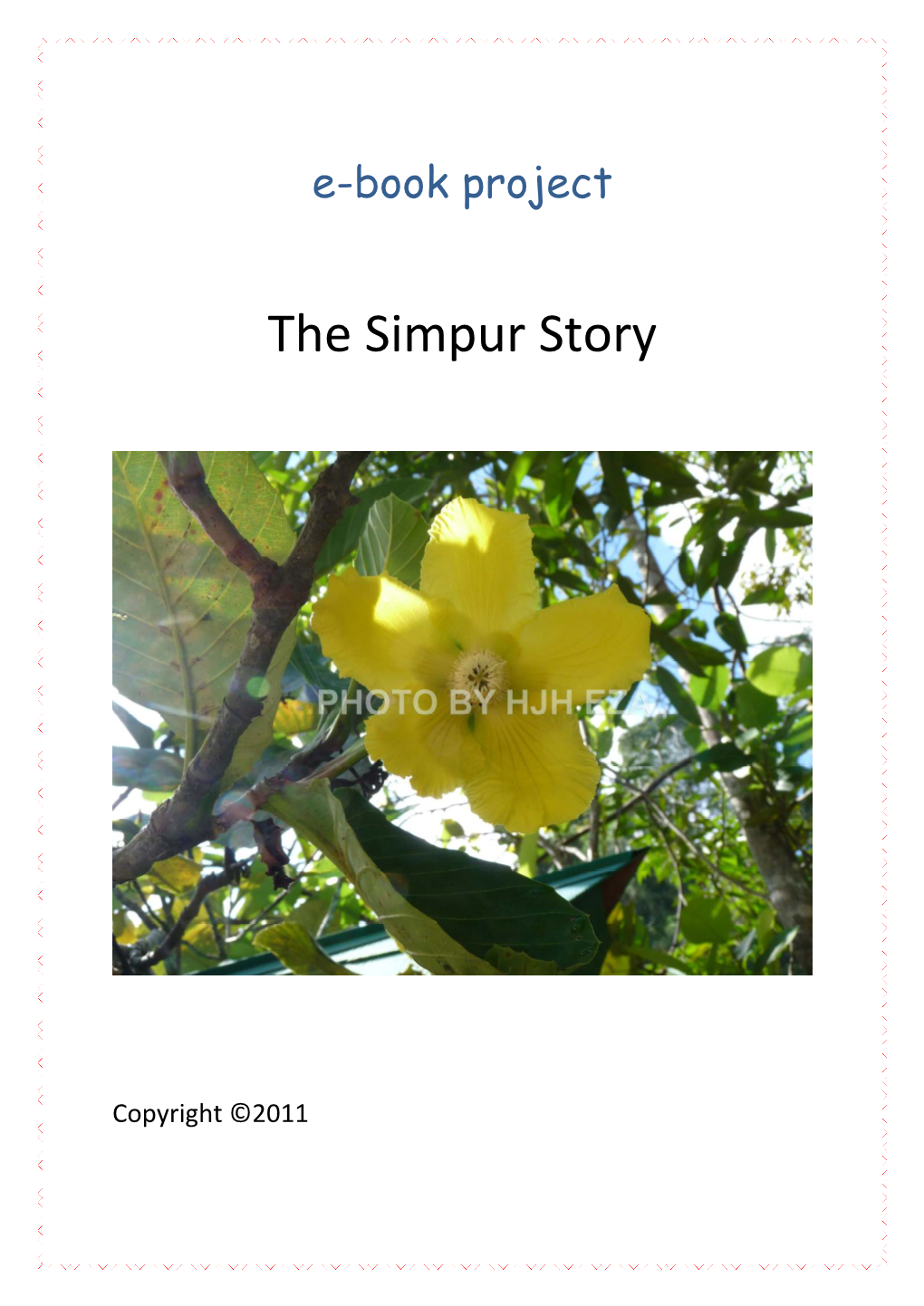 The Simpur Story