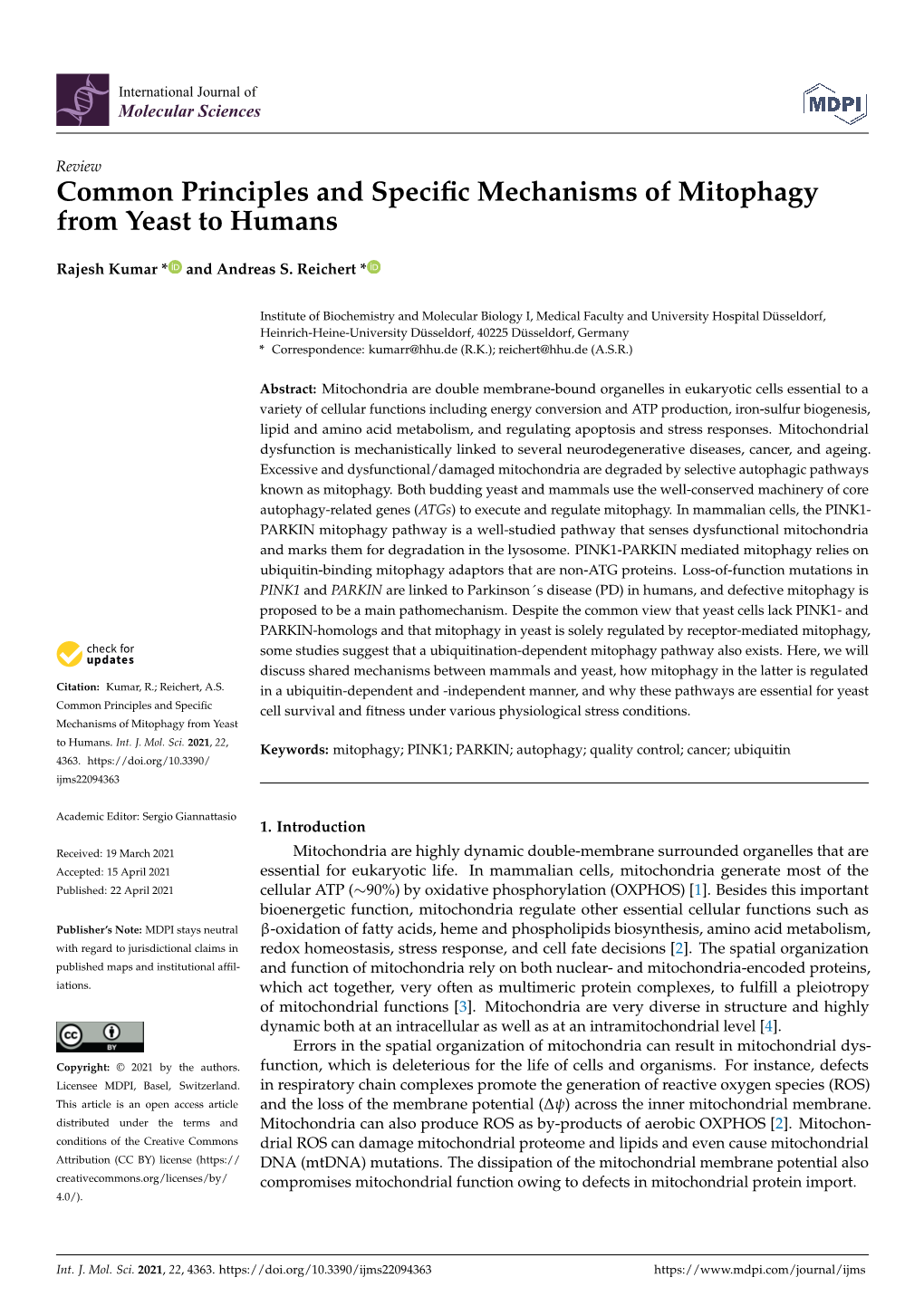 Common Principles and Specific Mechanisms of Mitophagy