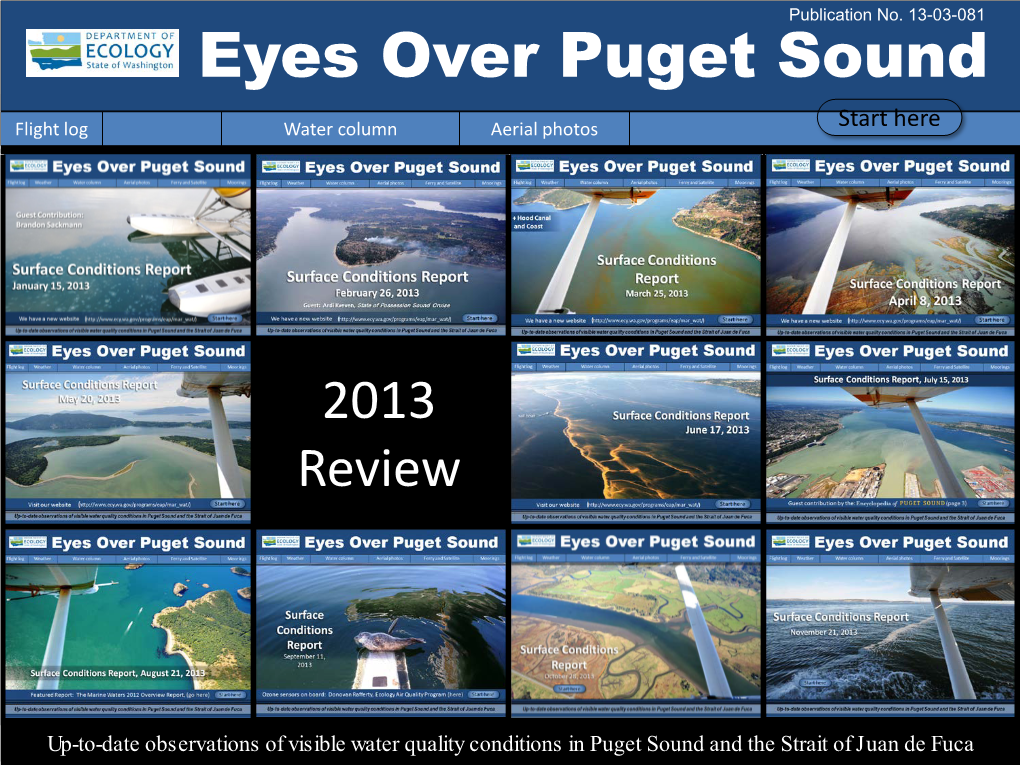 Eyes Over Puget Sound