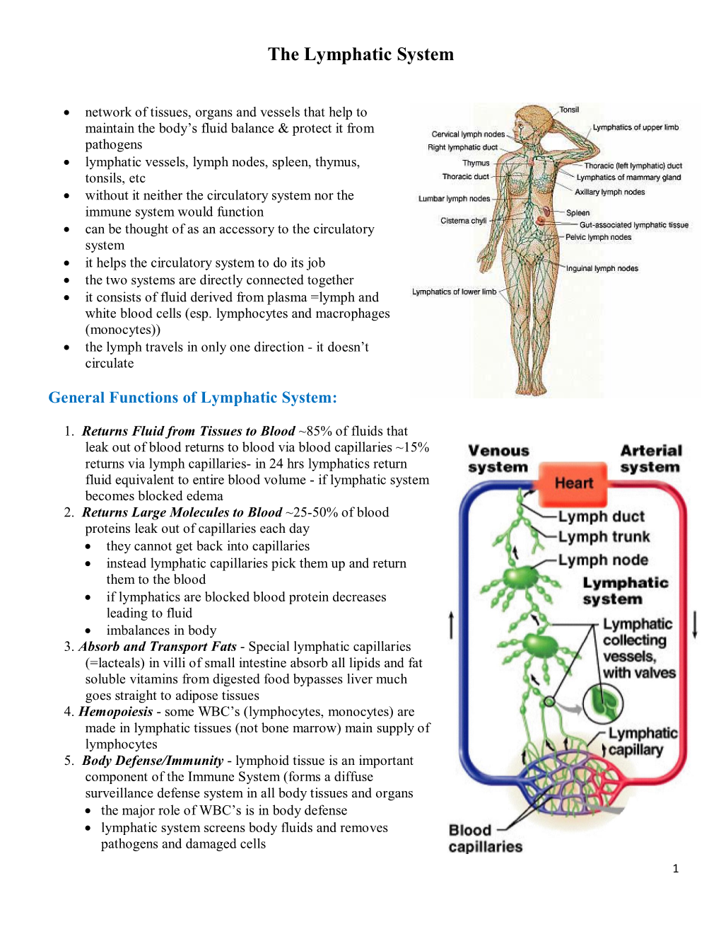 The Lymphatic System