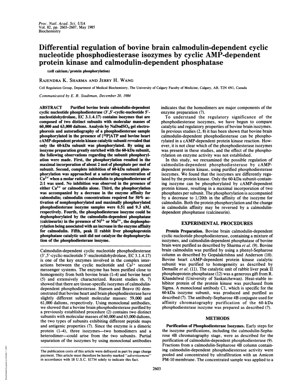 Differential Regulation of Bovine Brain Calmodulin-Dependent