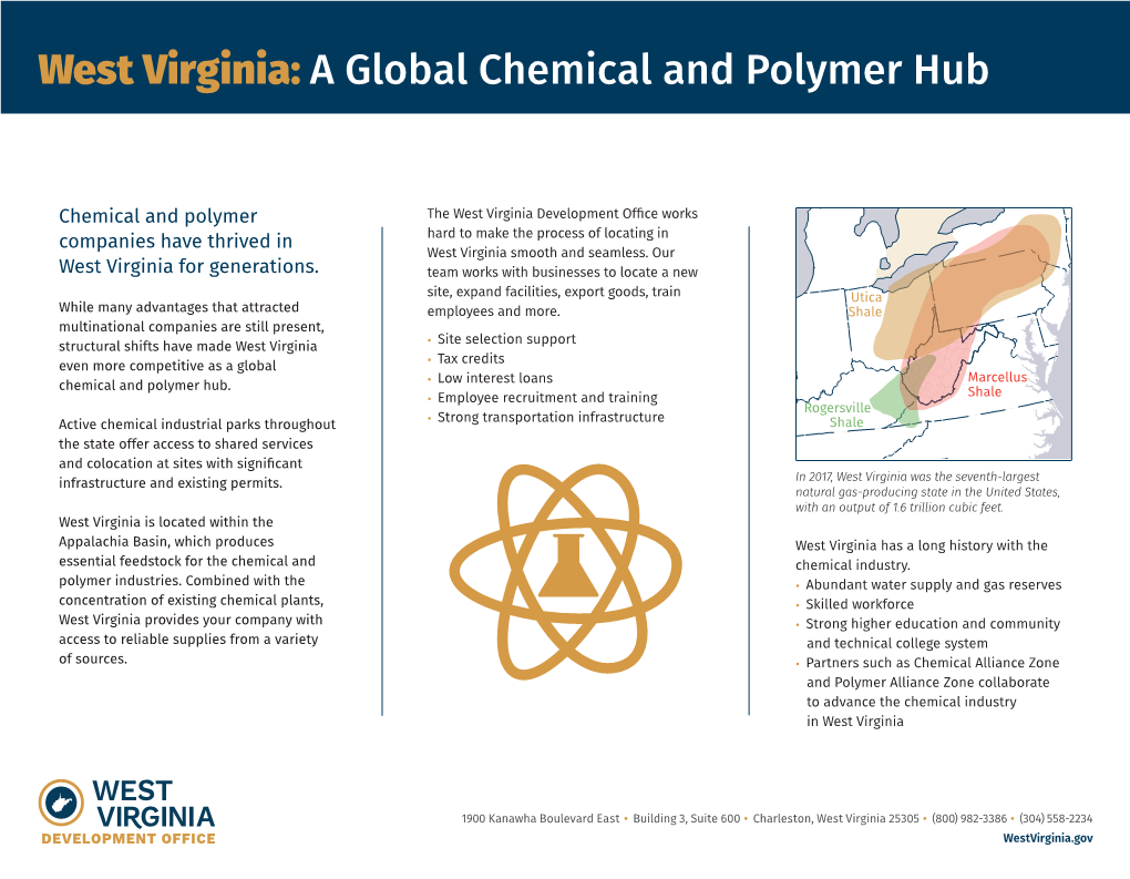 A Global Chemical and Polymer Hub