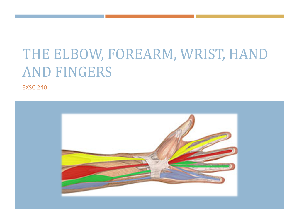 The Elbow, Forearm, Wrist, Hand and Fingers Exsc 240 Foosh Is Everywhere!