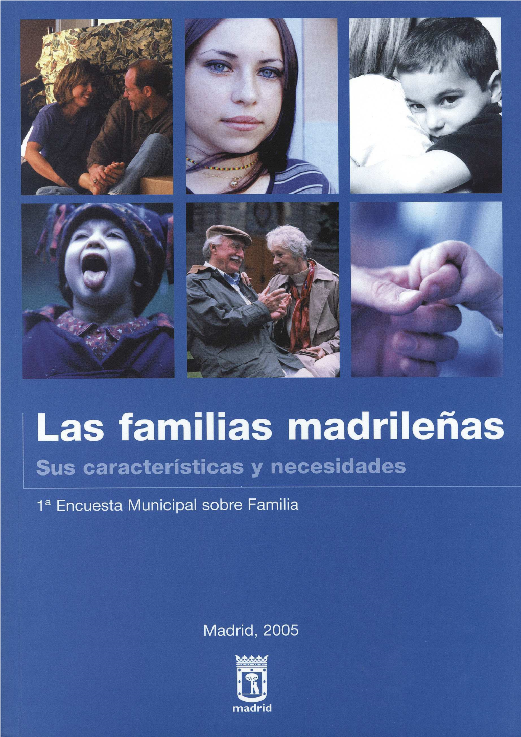 Las Familias Madrileñas Sus Características Y Necesidades