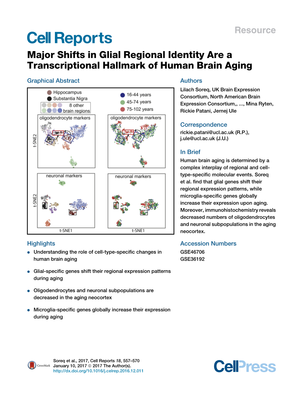 Major Shifts in Glial Regional Identity Are a Transcriptional Hallmark of Human Brain Aging