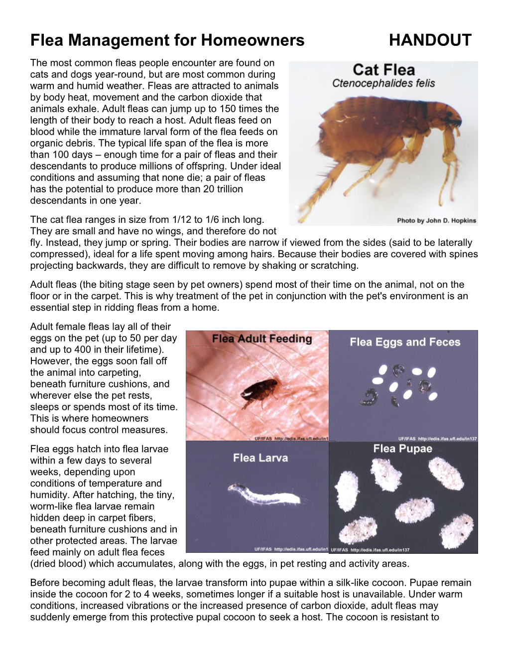 Flea Management for Homeowners HANDOUT