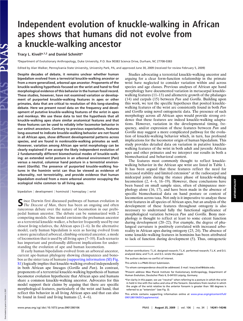 Independent Evolution of Knuckle-Walking in African Apes Shows That Humans Did Not Evolve from a Knuckle-Walking Ancestor