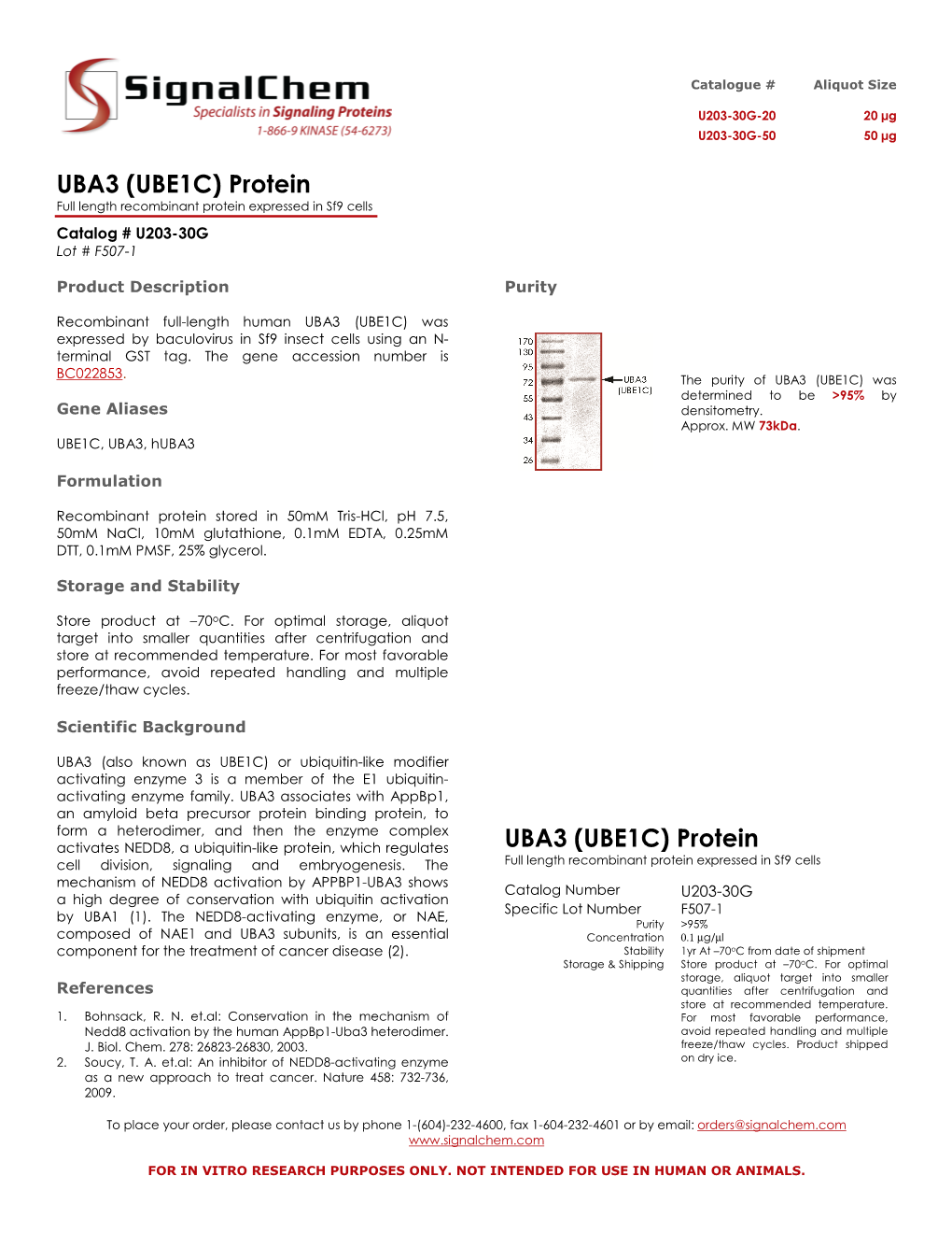 UBA3 (UBE1C) Protein UBA3 (UBE1C) Protein