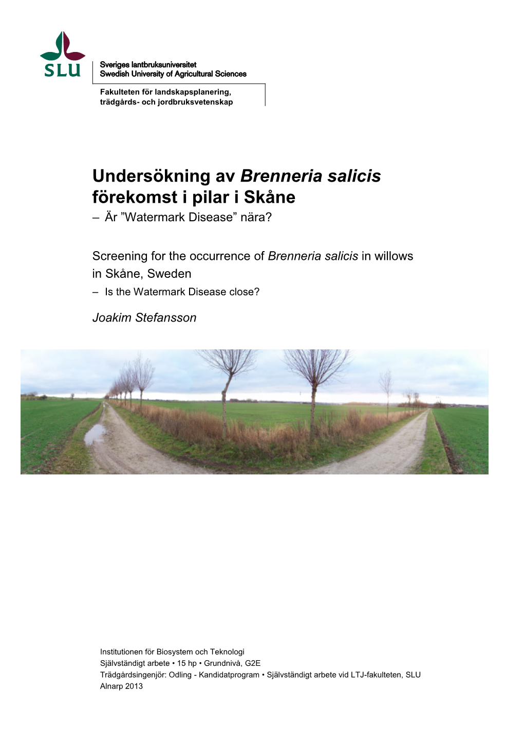 Undersökning Av Brenneria Salicis Förekomst I Pilar I Skåne – Är ”Watermark Disease” Nära?