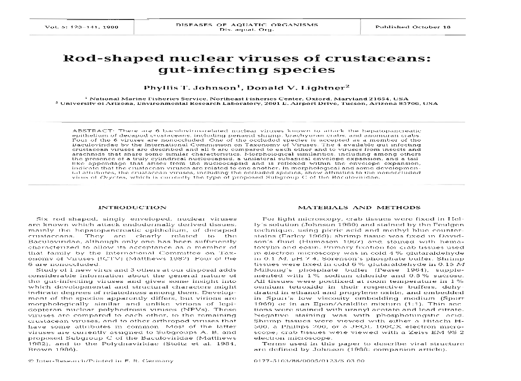 Rod-Shaped Nuclear Viruses of Crustaceans: Gut-Infecting Species