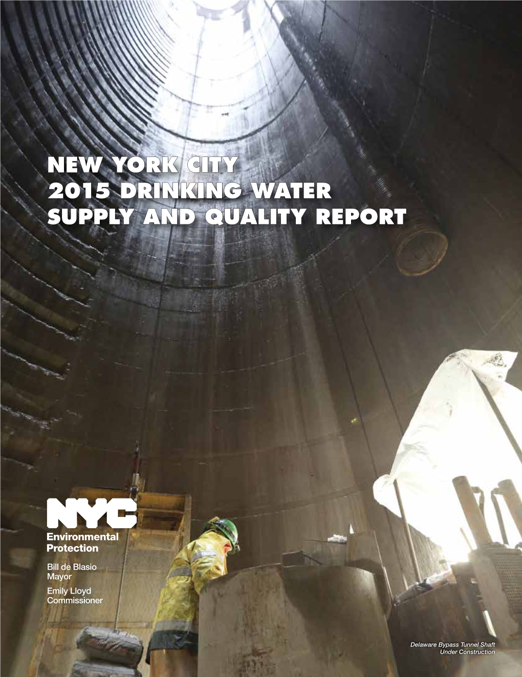 New York City 2015 Drinking Water Supply and Quality Report