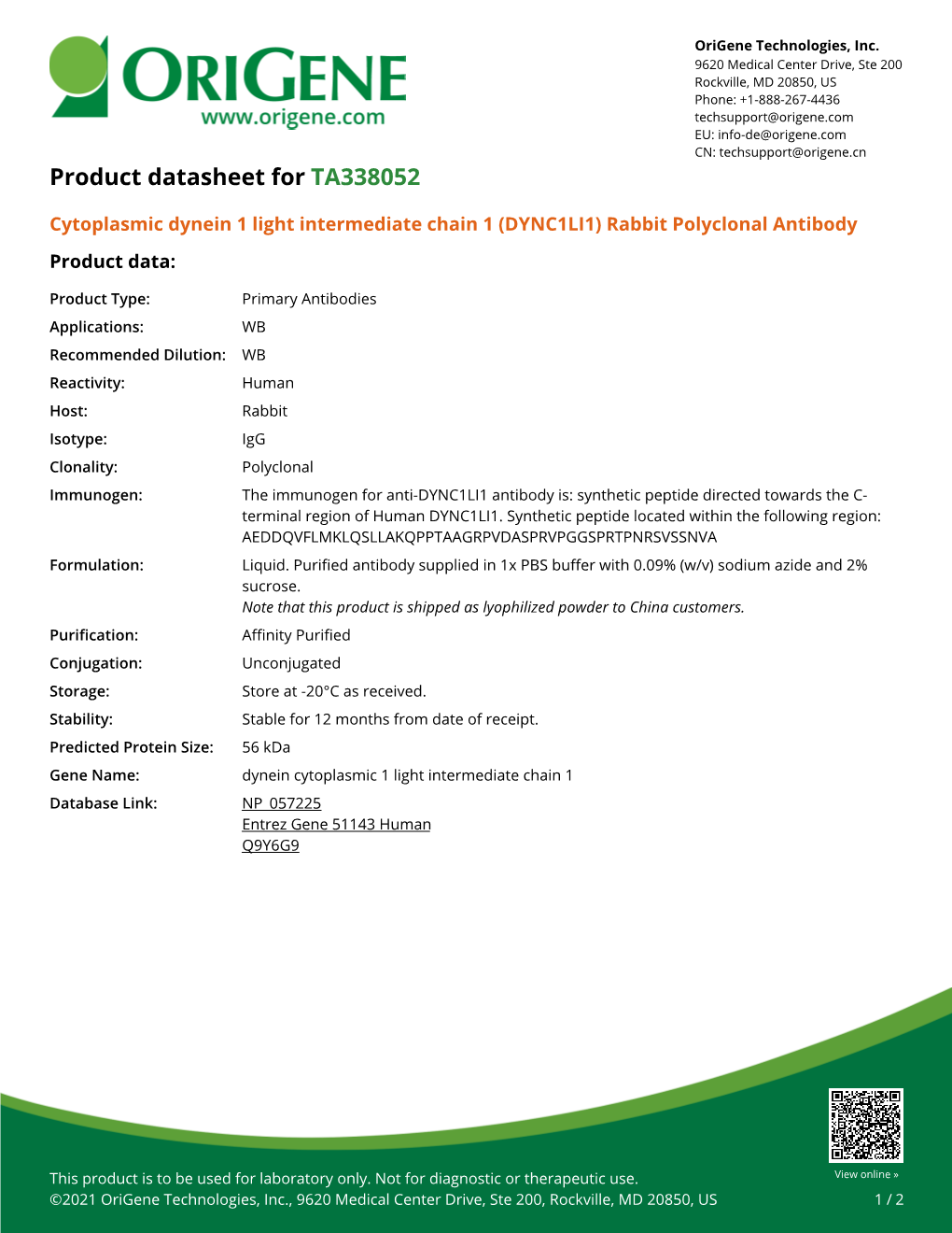 (DYNC1LI1) Rabbit Polyclonal Antibody – TA338052